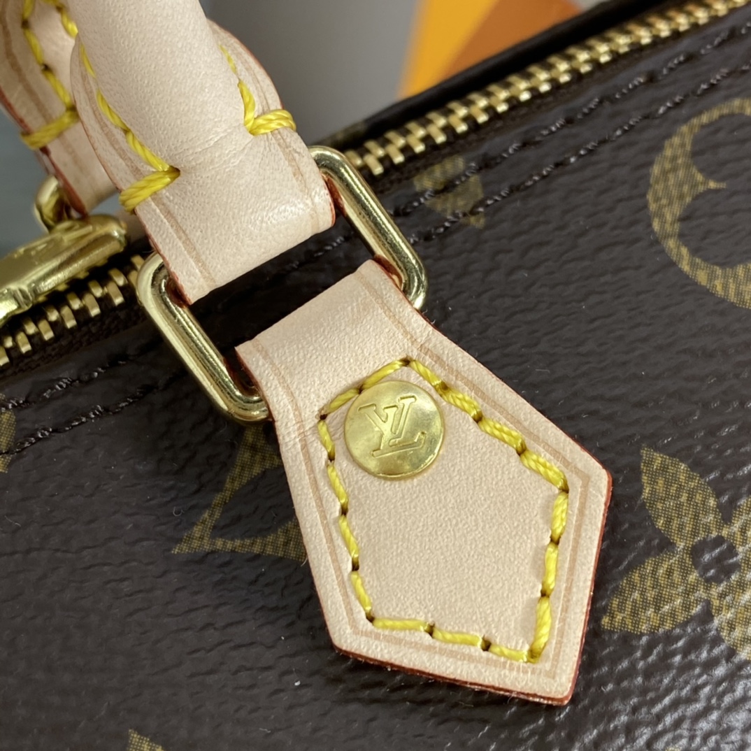 Louis Vuitton NANO SPEEDY Monogram Handbag M61252 